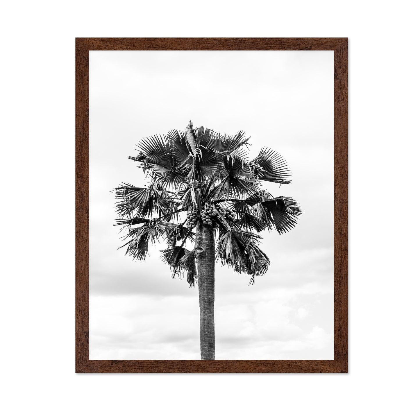 Palm Tree Monochrome