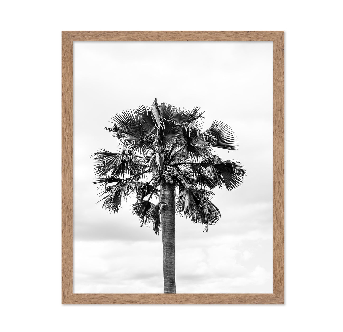 Palm Tree Monochrome