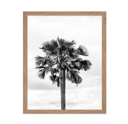 Palm Tree Monochrome