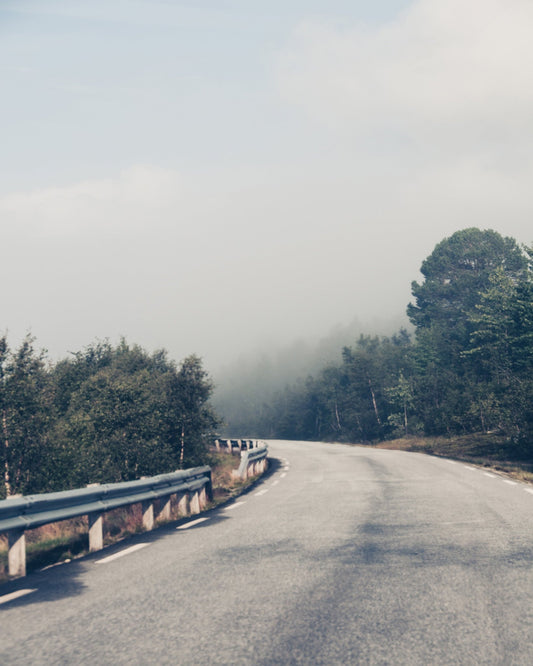 Misty Forest Road