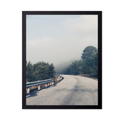 Misty Forest Road