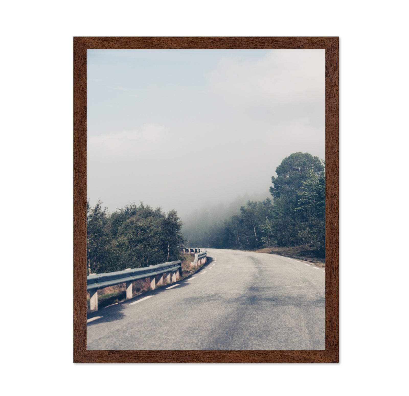 Misty Forest Road