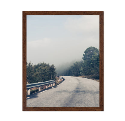 Misty Forest Road