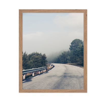 Misty Forest Road