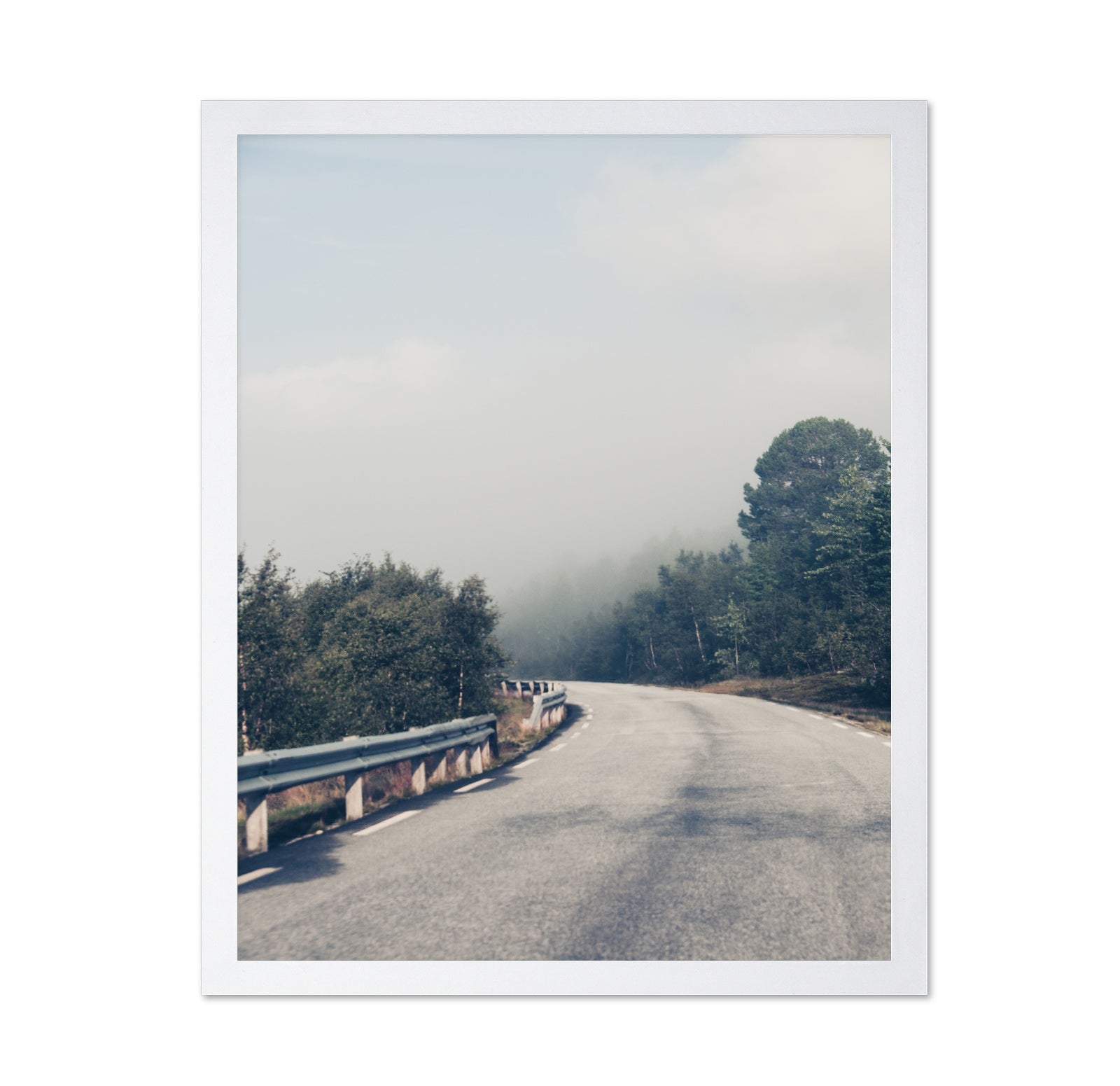 Misty Forest Road