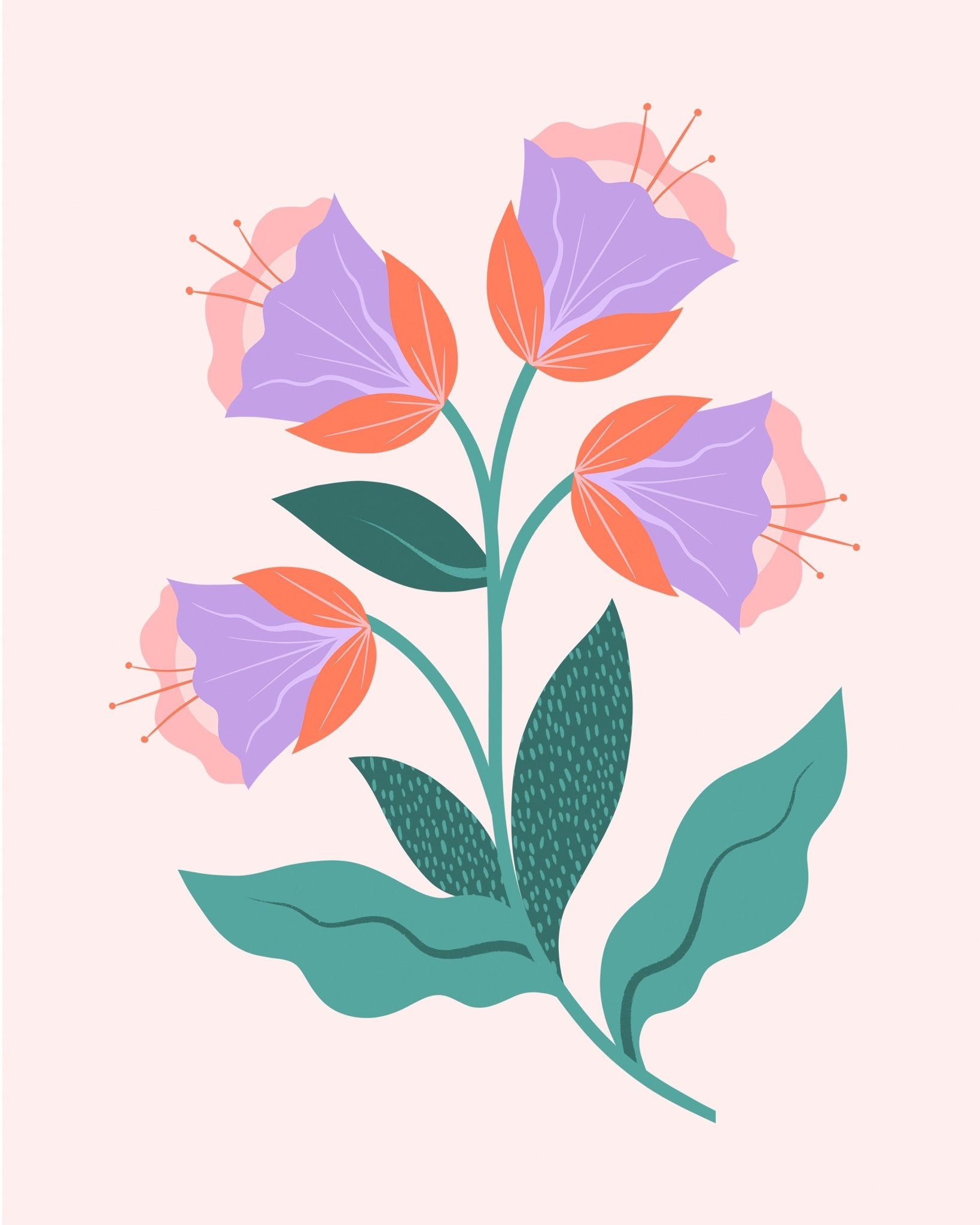 Purple Bloom Flowers