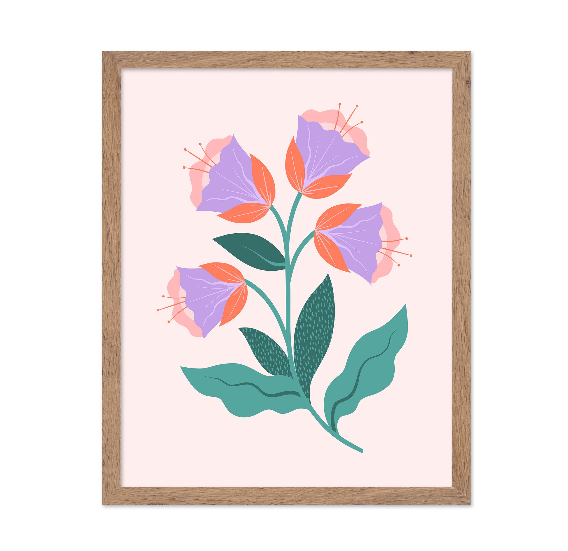Purple Bloom Flowers