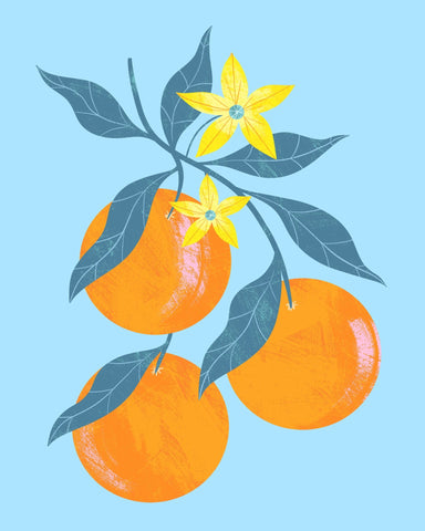 Orange Blossom Branch No2