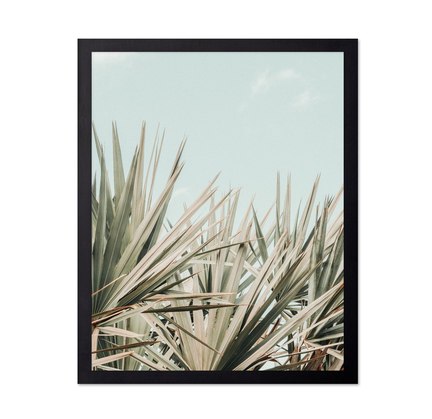 Tropical Palm Leaves No2