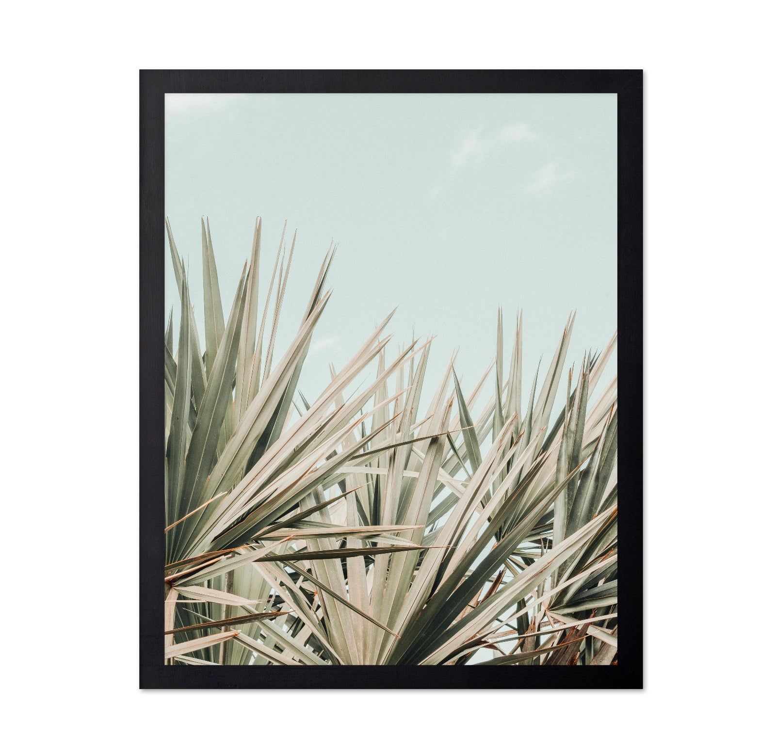 Tropical Palm Leaves No2