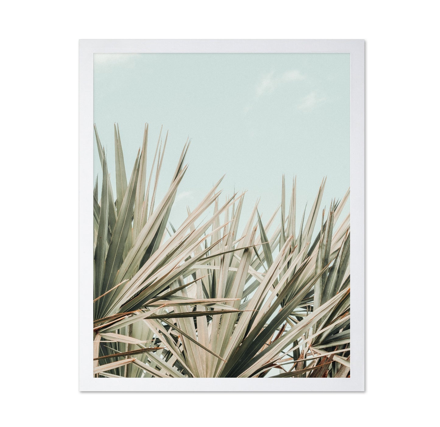 Tropical Palm Leaves No2