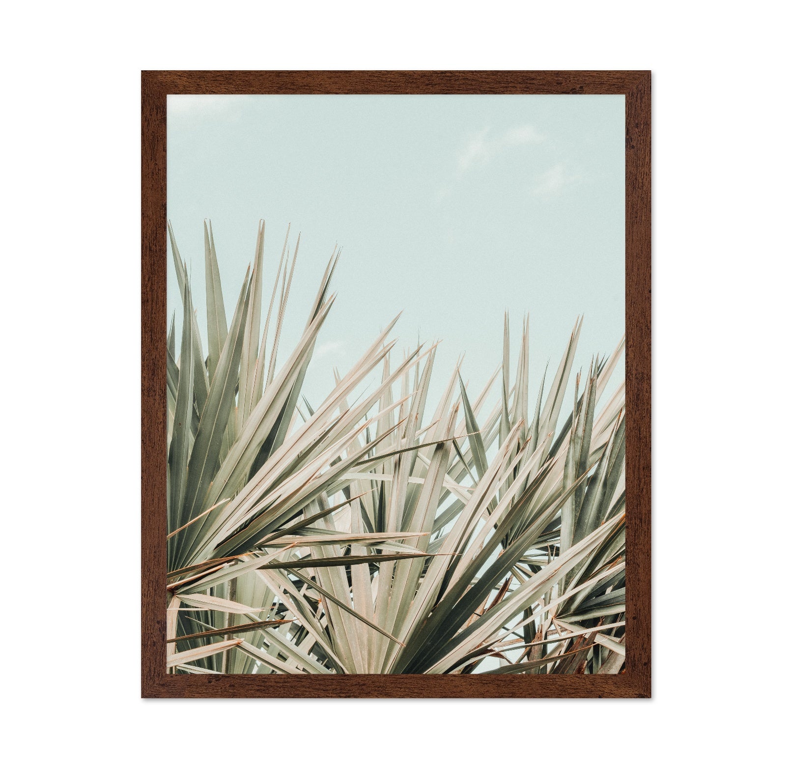Tropical Palm Leaves No2