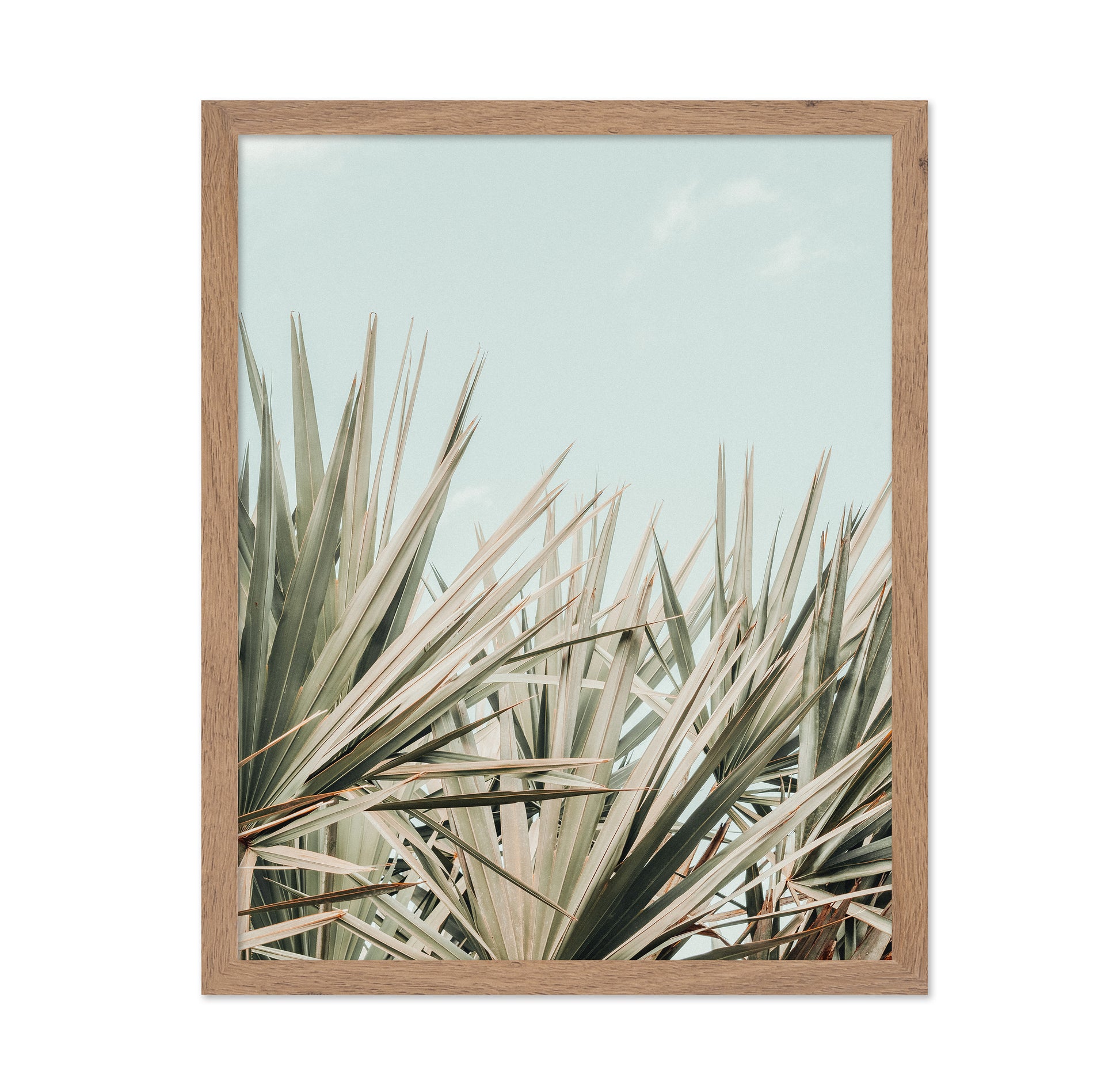 Tropical Palm Leaves No2