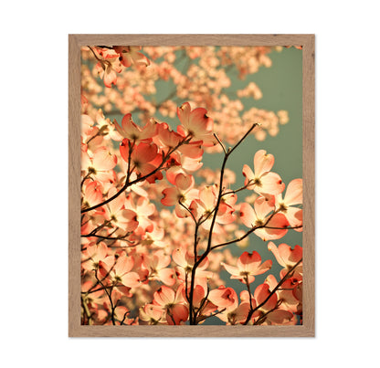 Pink Blossom Glow