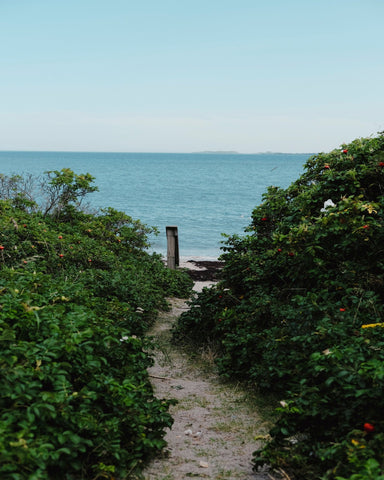 Coastal Garden Path No1