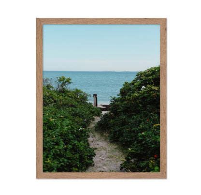 Coastal Garden Path No1