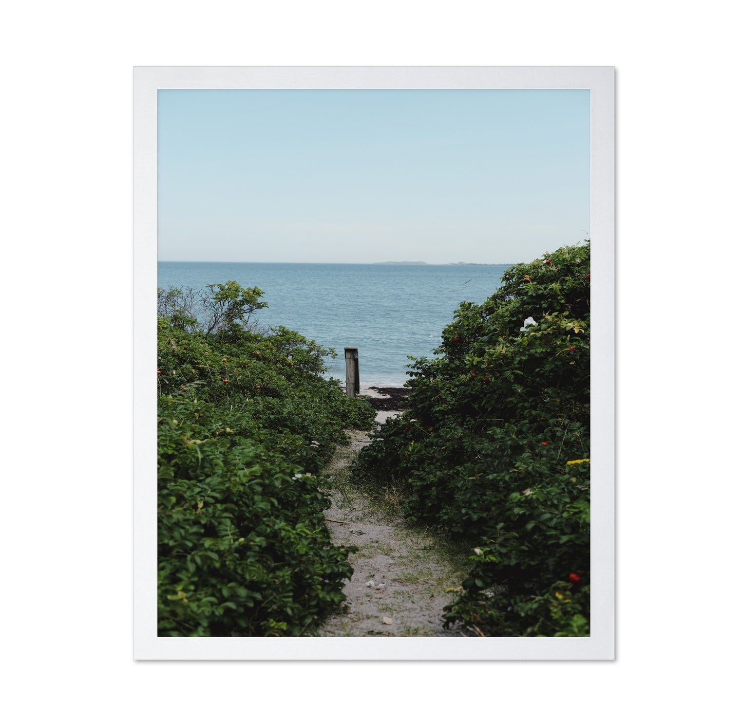 Coastal Garden Path No1
