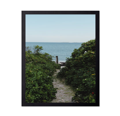 Coastal Garden Path No1