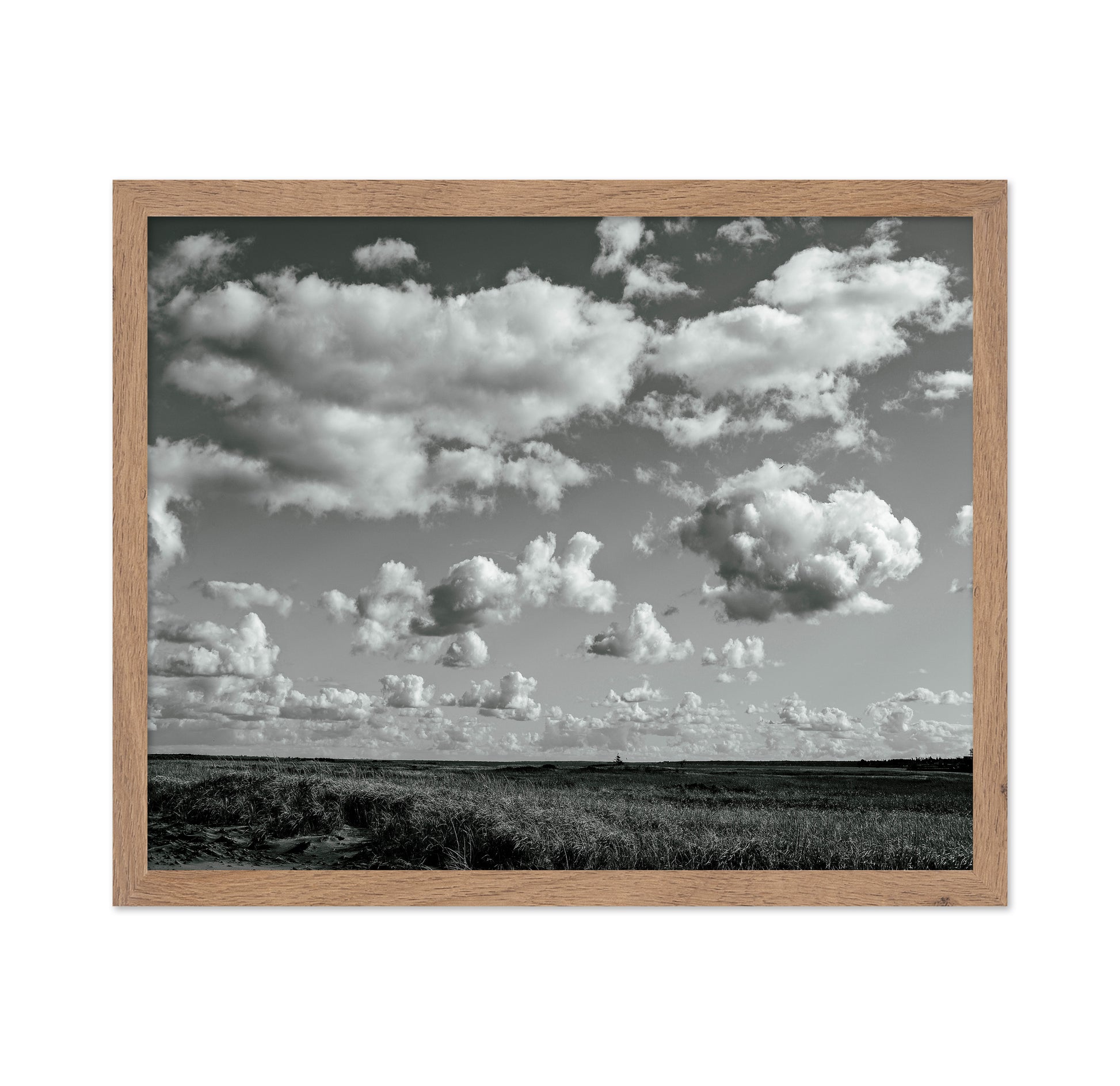 Floating Clouds
