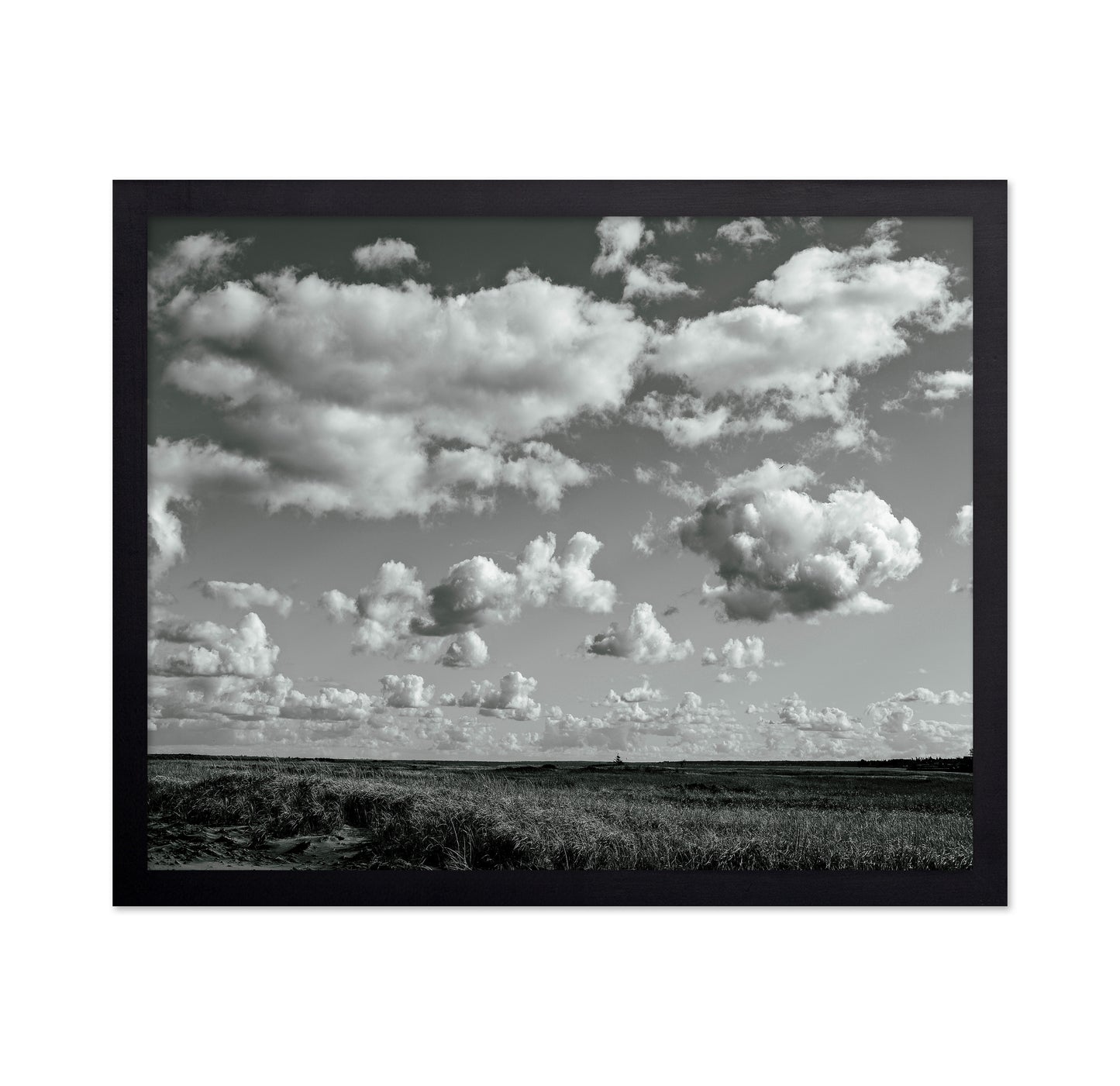 Floating Clouds