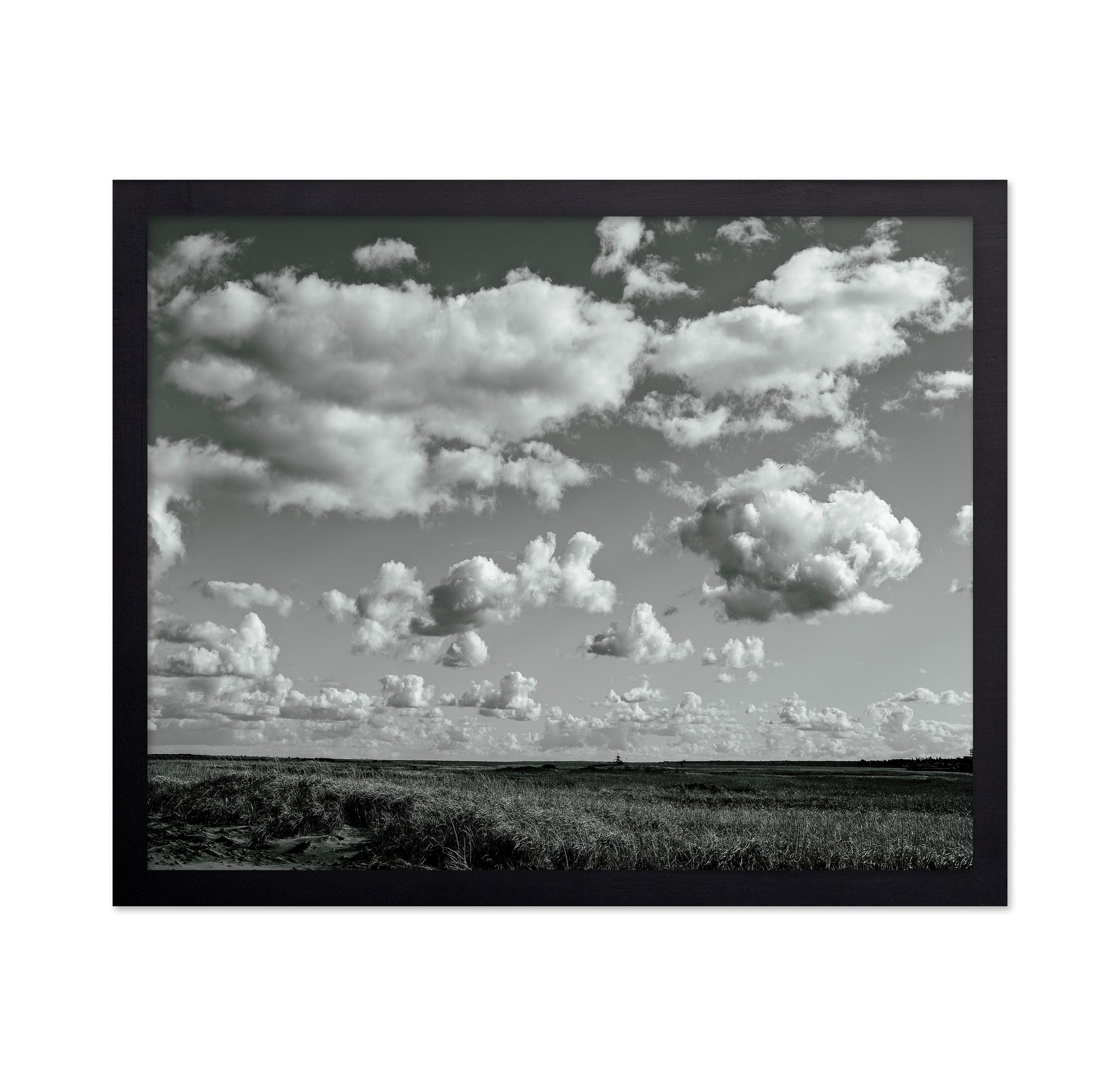 Floating Clouds