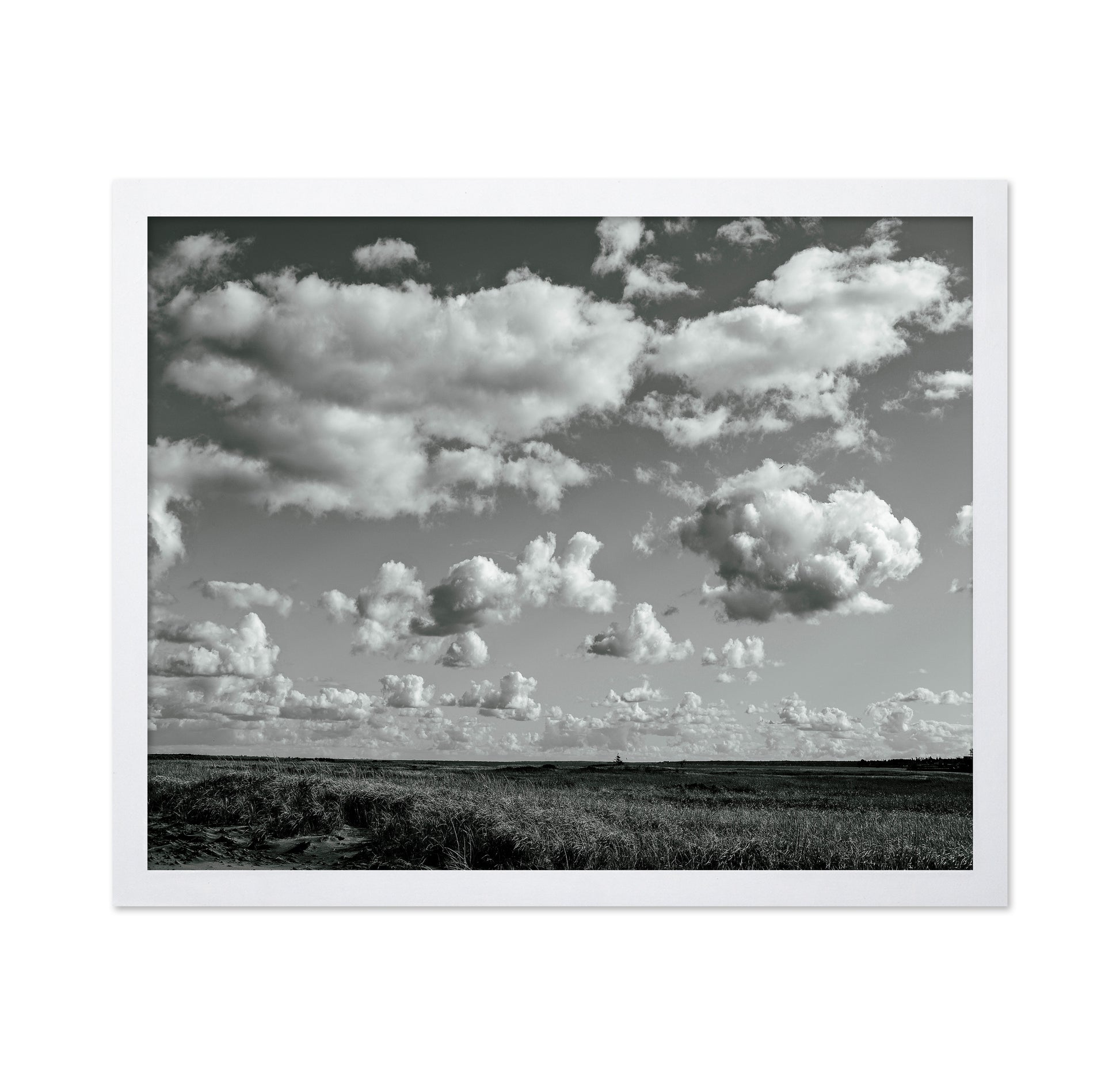 Floating Clouds