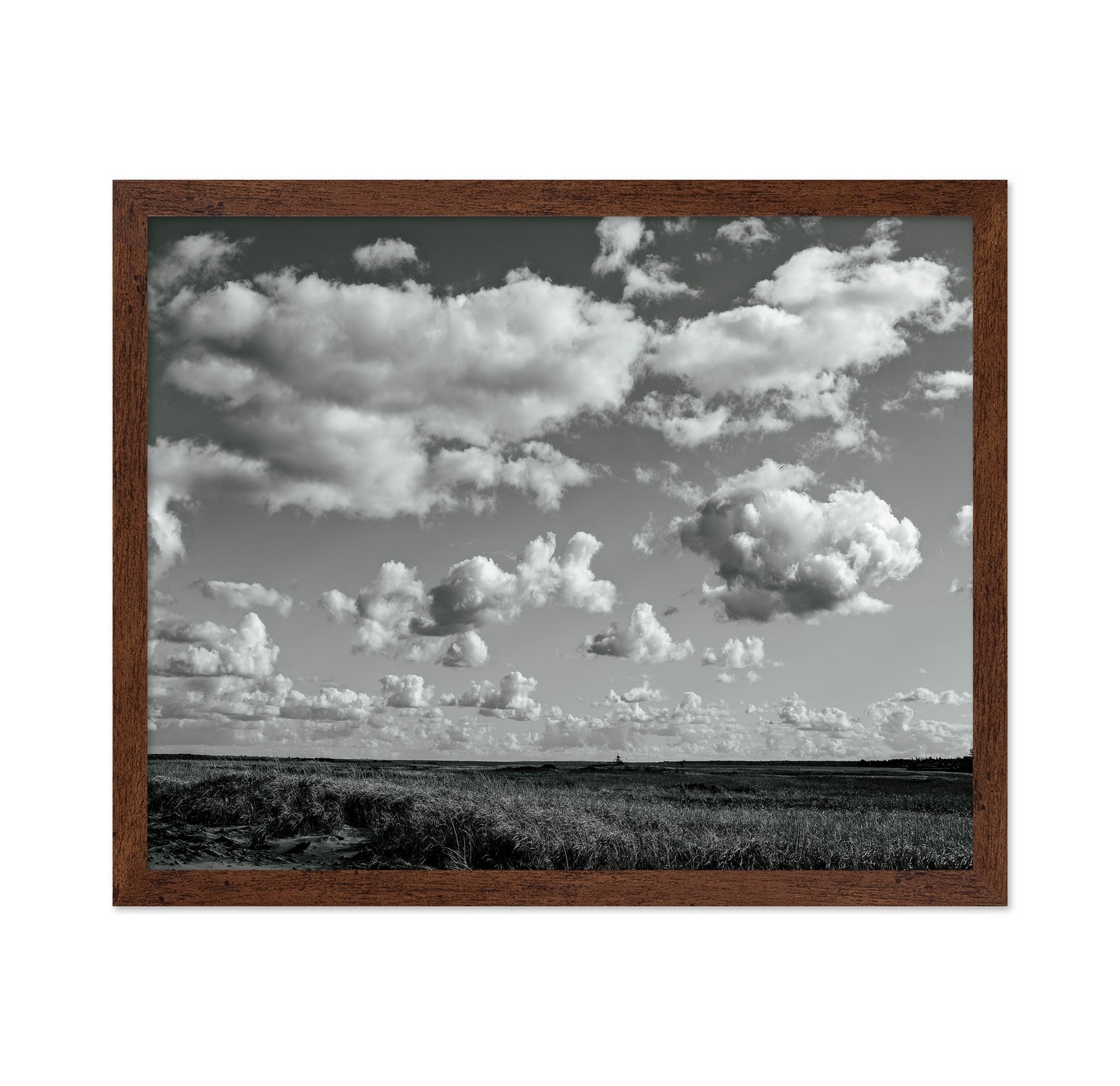 Floating Clouds