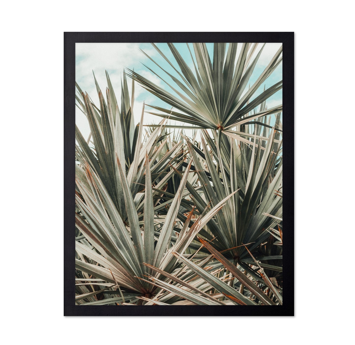 Tropical Palm Leaves No3
