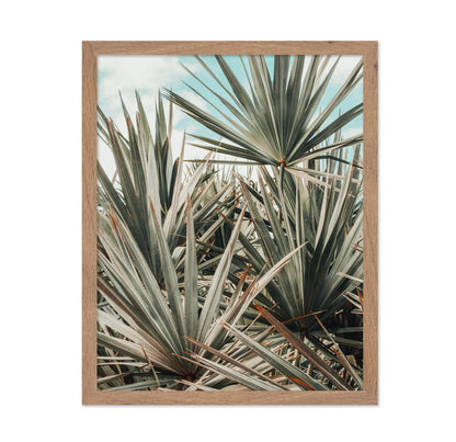 Tropical Palm Leaves No3