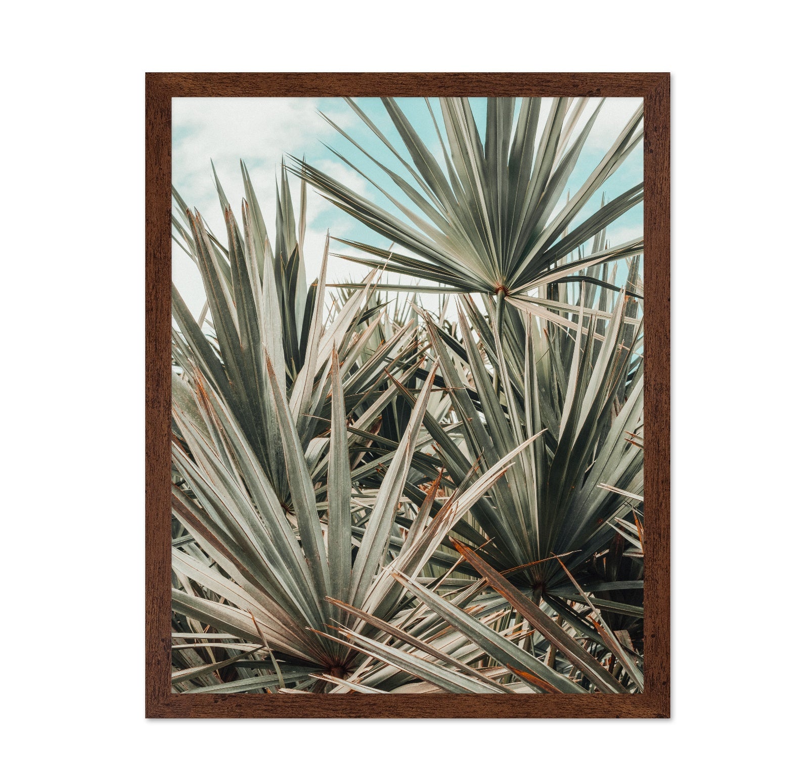 Tropical Palm Leaves No3