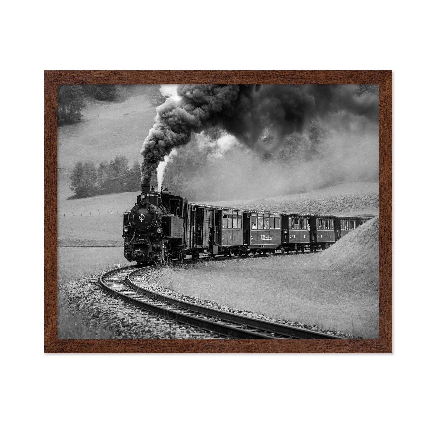 Steam Train Journey
