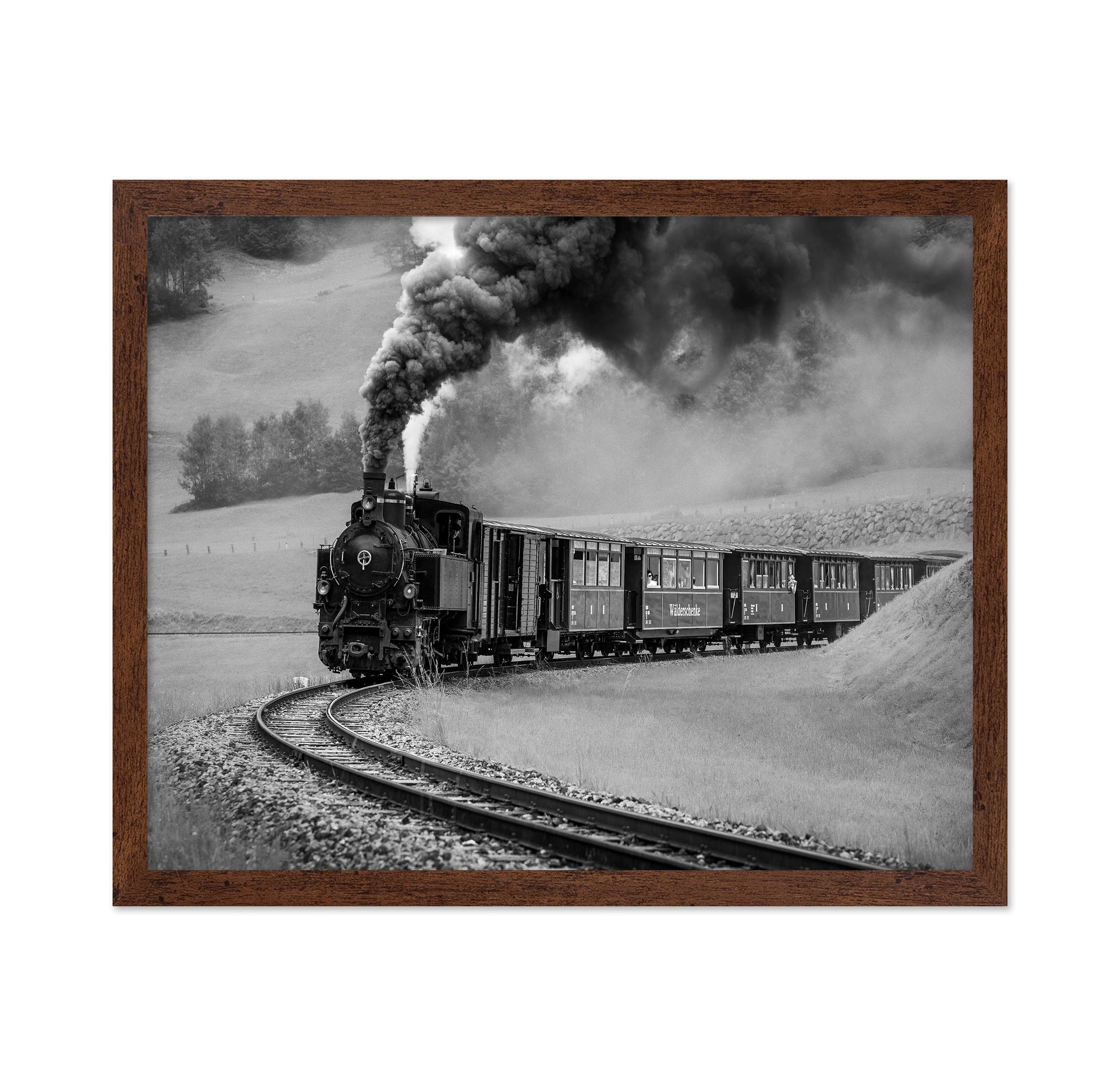 Steam Train Journey