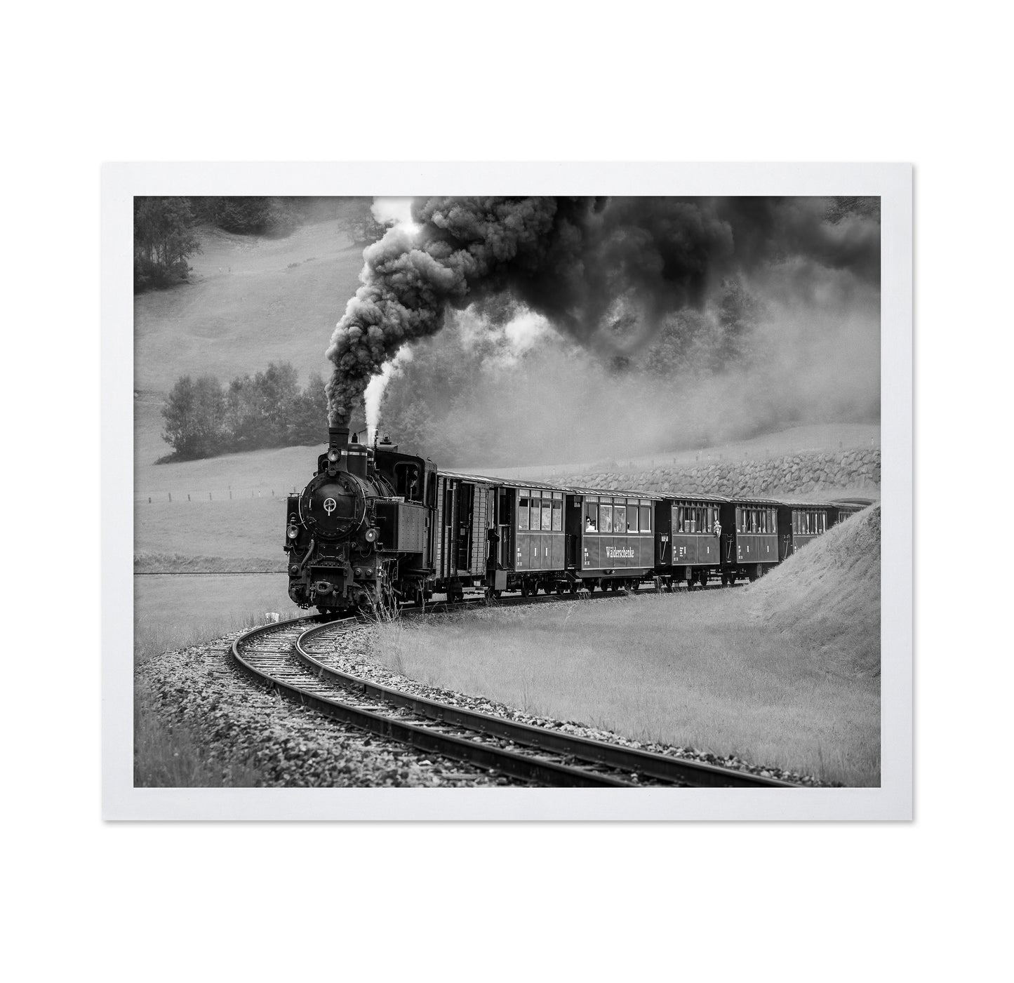 Steam Train Journey