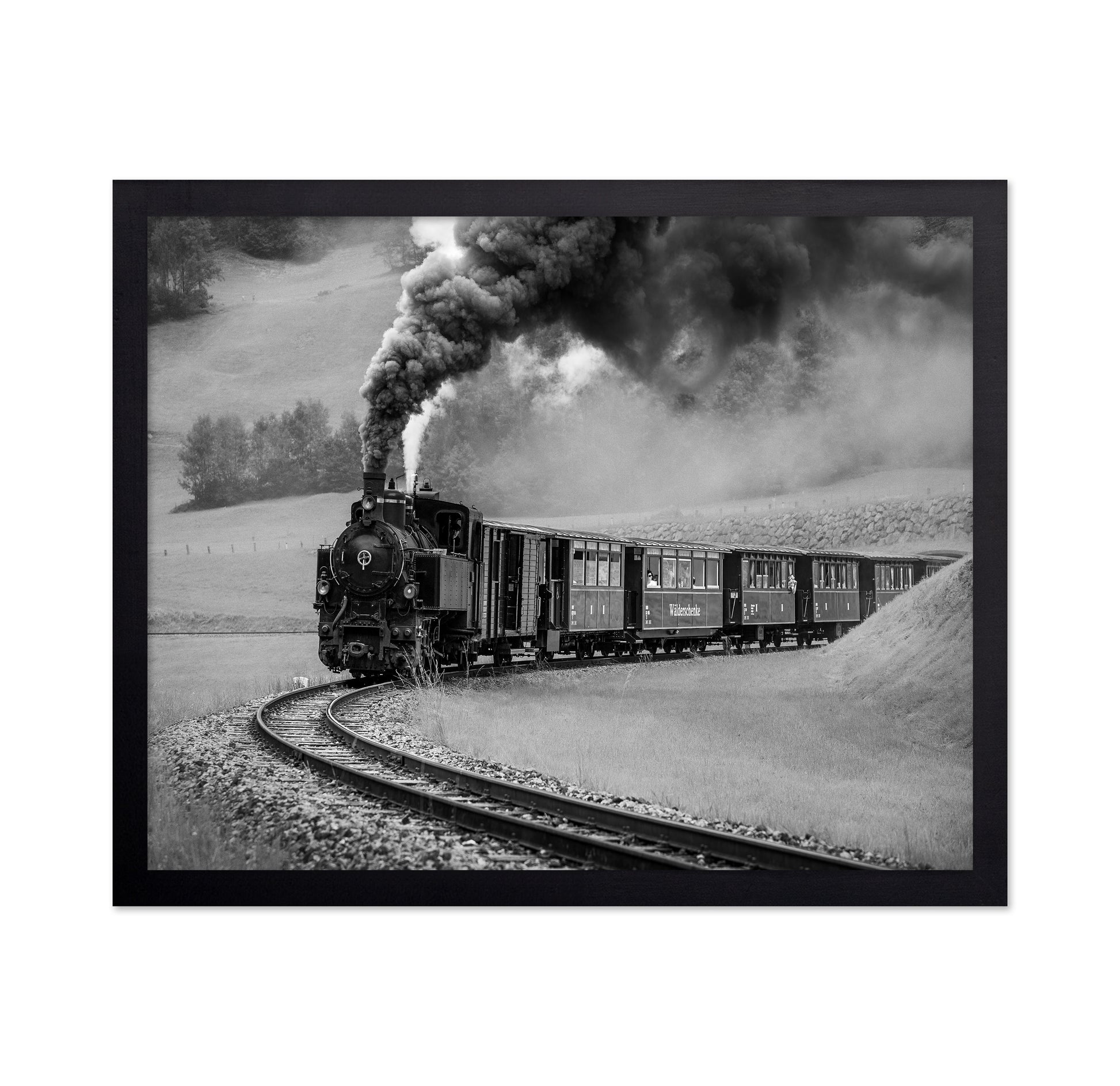 Steam Train Journey