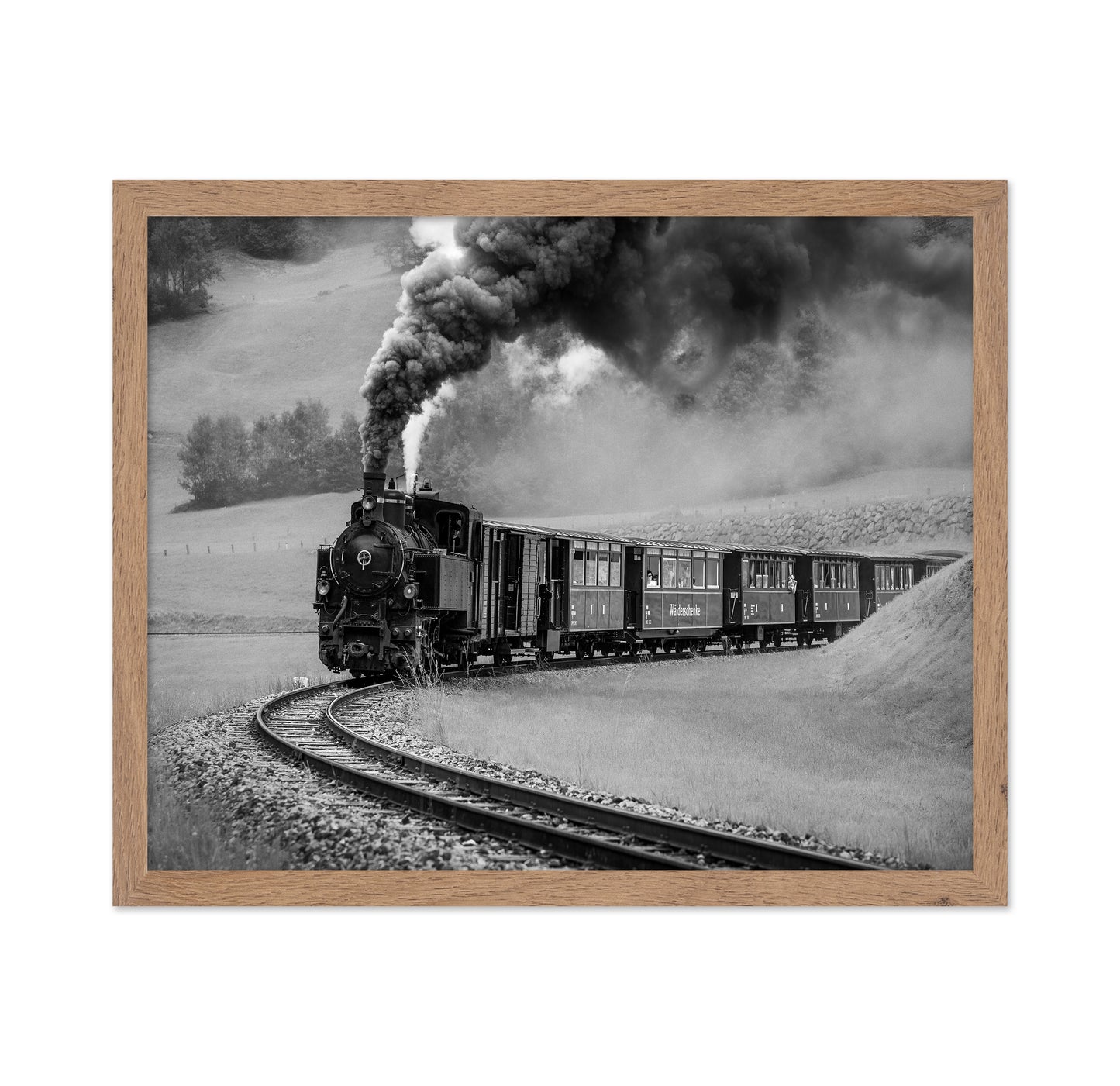 Steam Train Journey