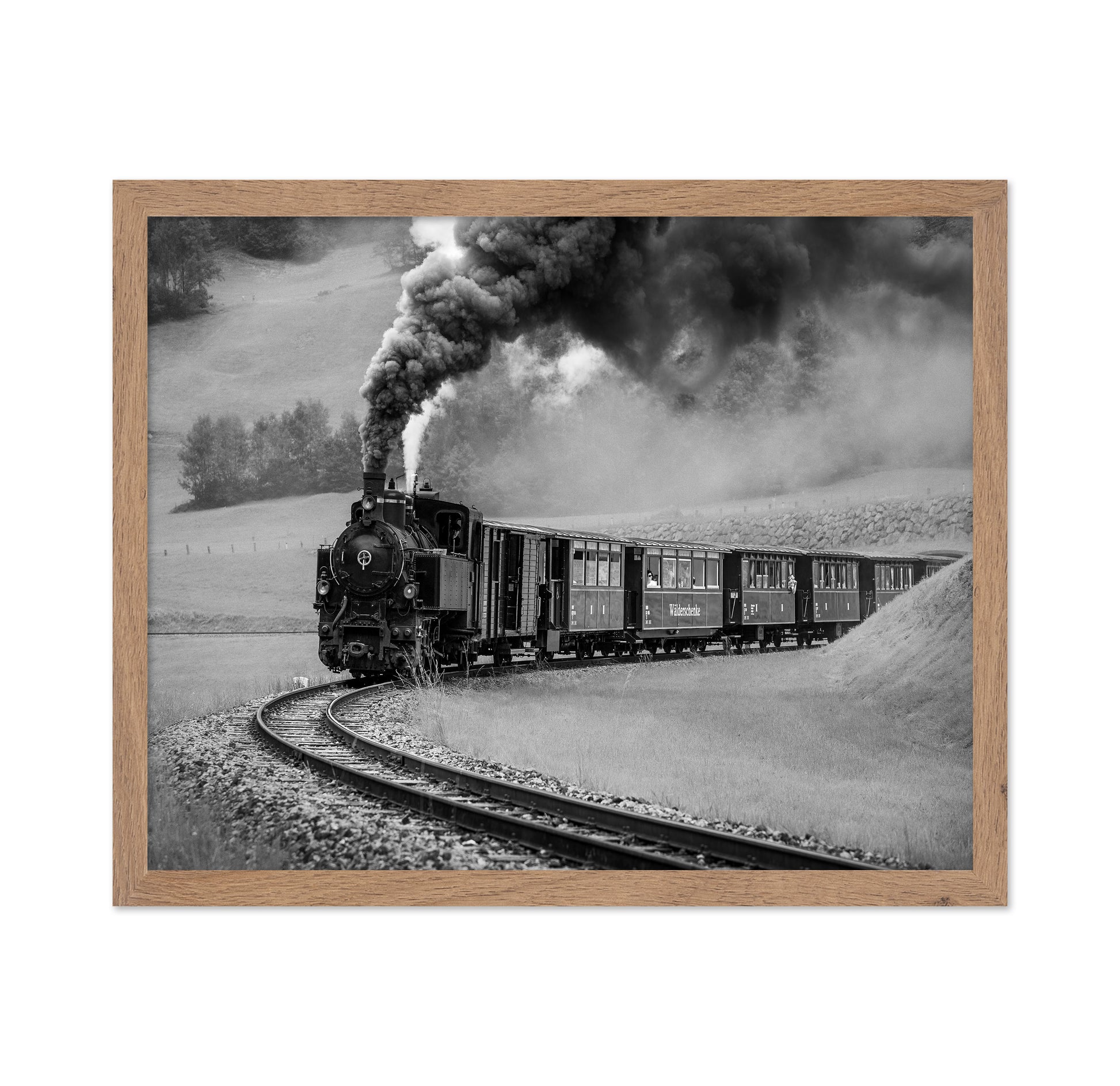 Steam Train Journey