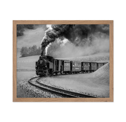 Steam Train Journey
