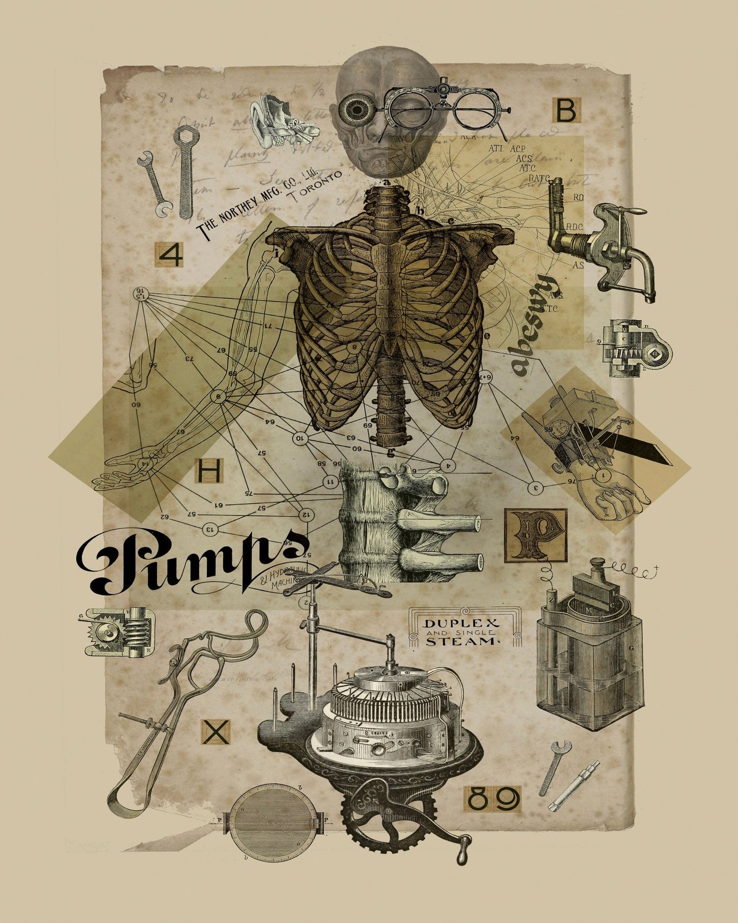Mechanical Anatomy Study