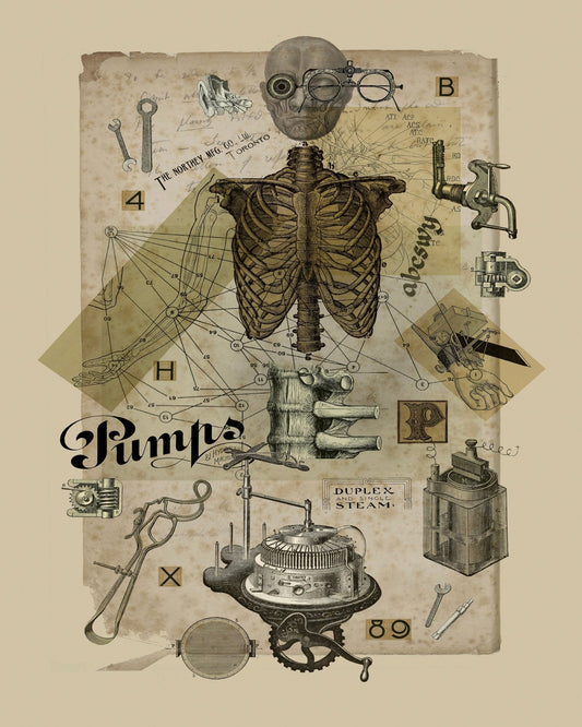 Mechanical Anatomy Study
