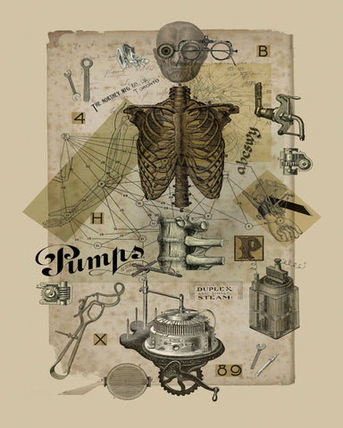Mechanical Anatomy Study