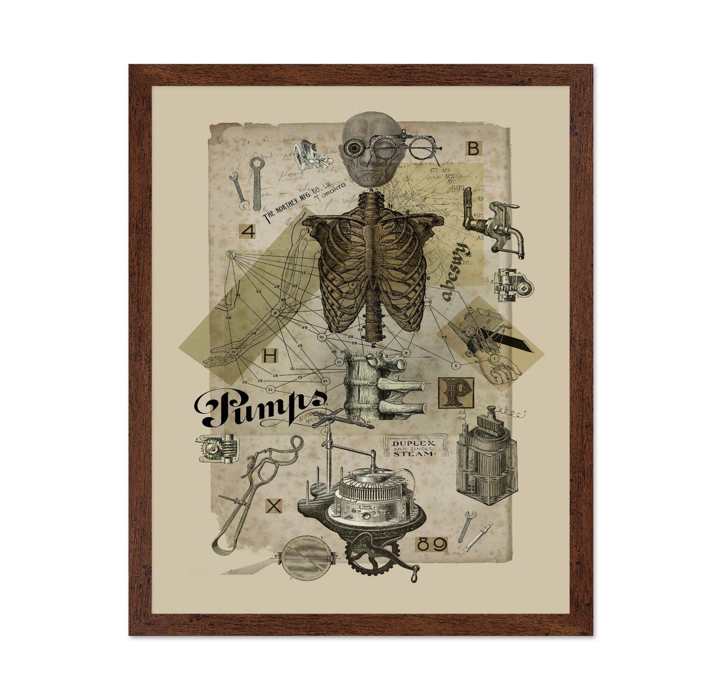 Mechanical Anatomy Study
