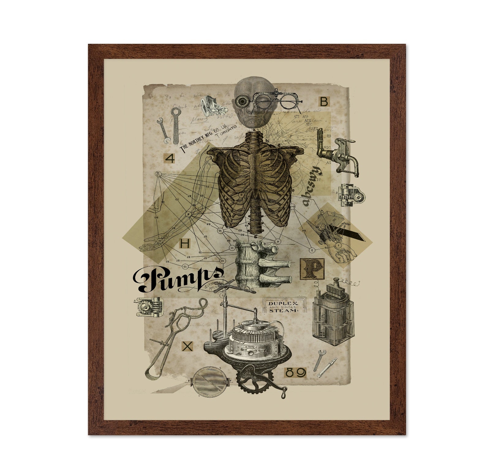 Mechanical Anatomy Study