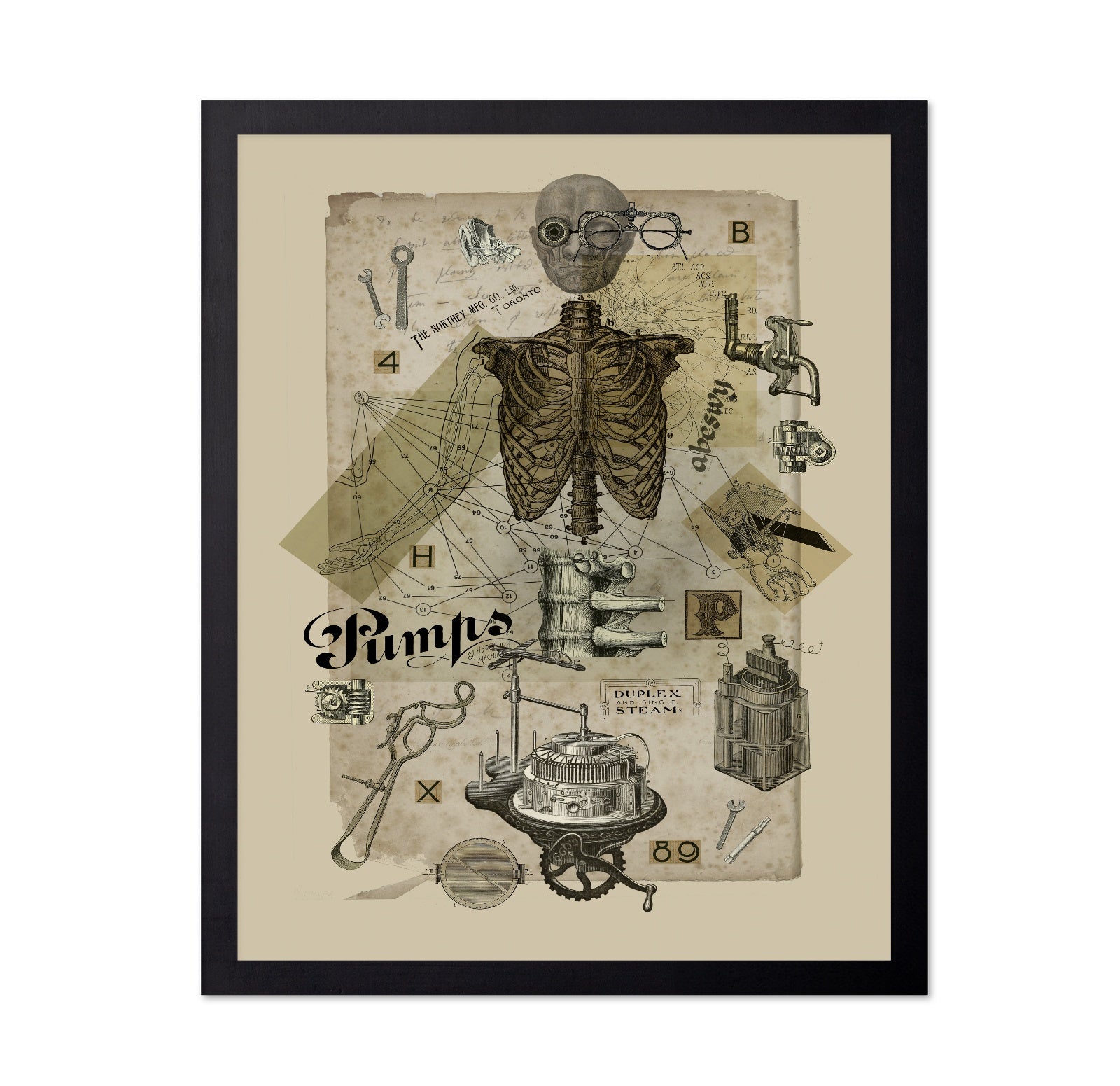 Mechanical Anatomy Study
