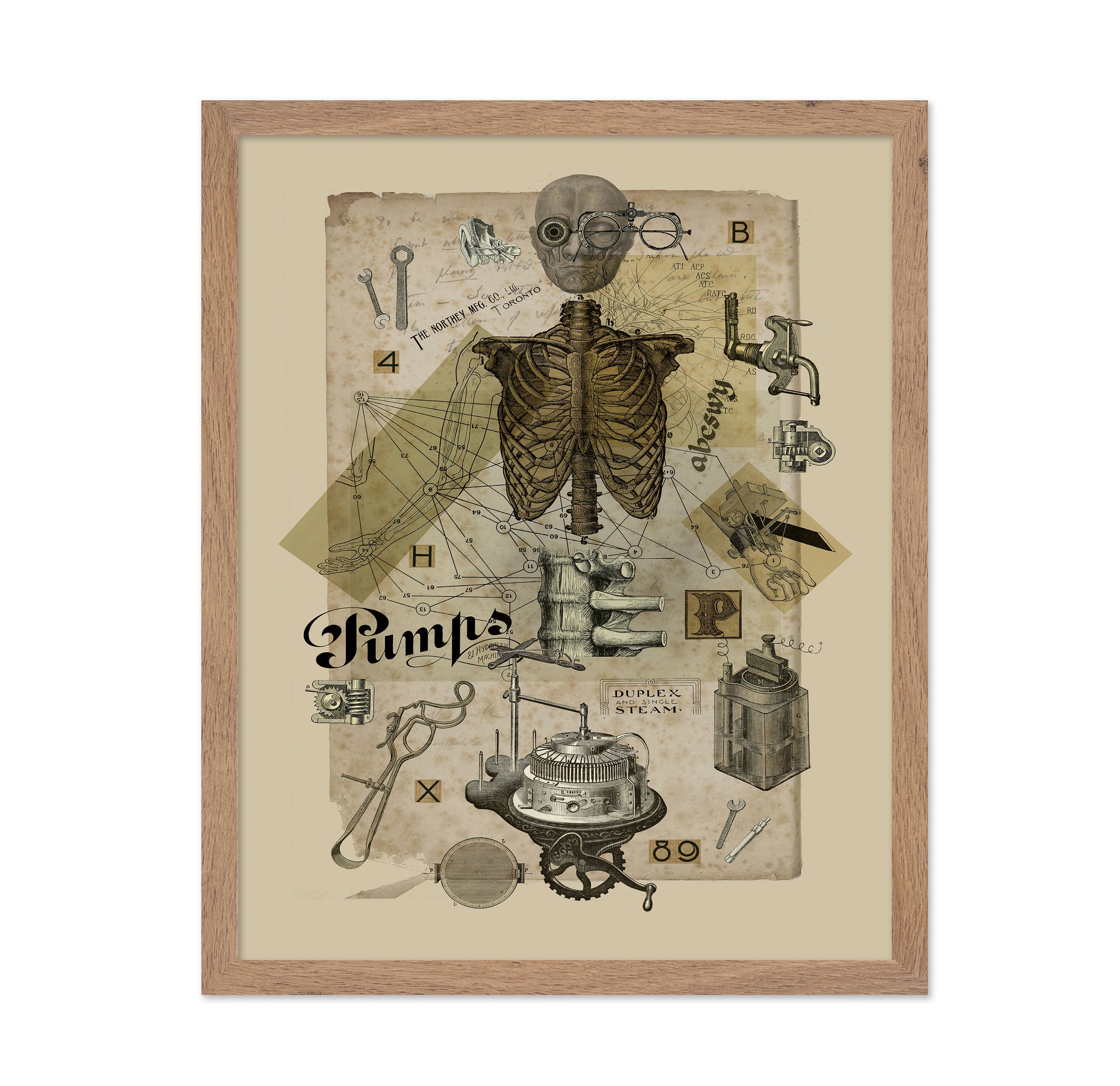 Mechanical Anatomy Study