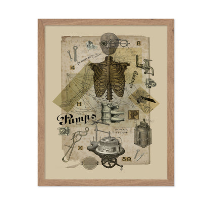 Mechanical Anatomy Study