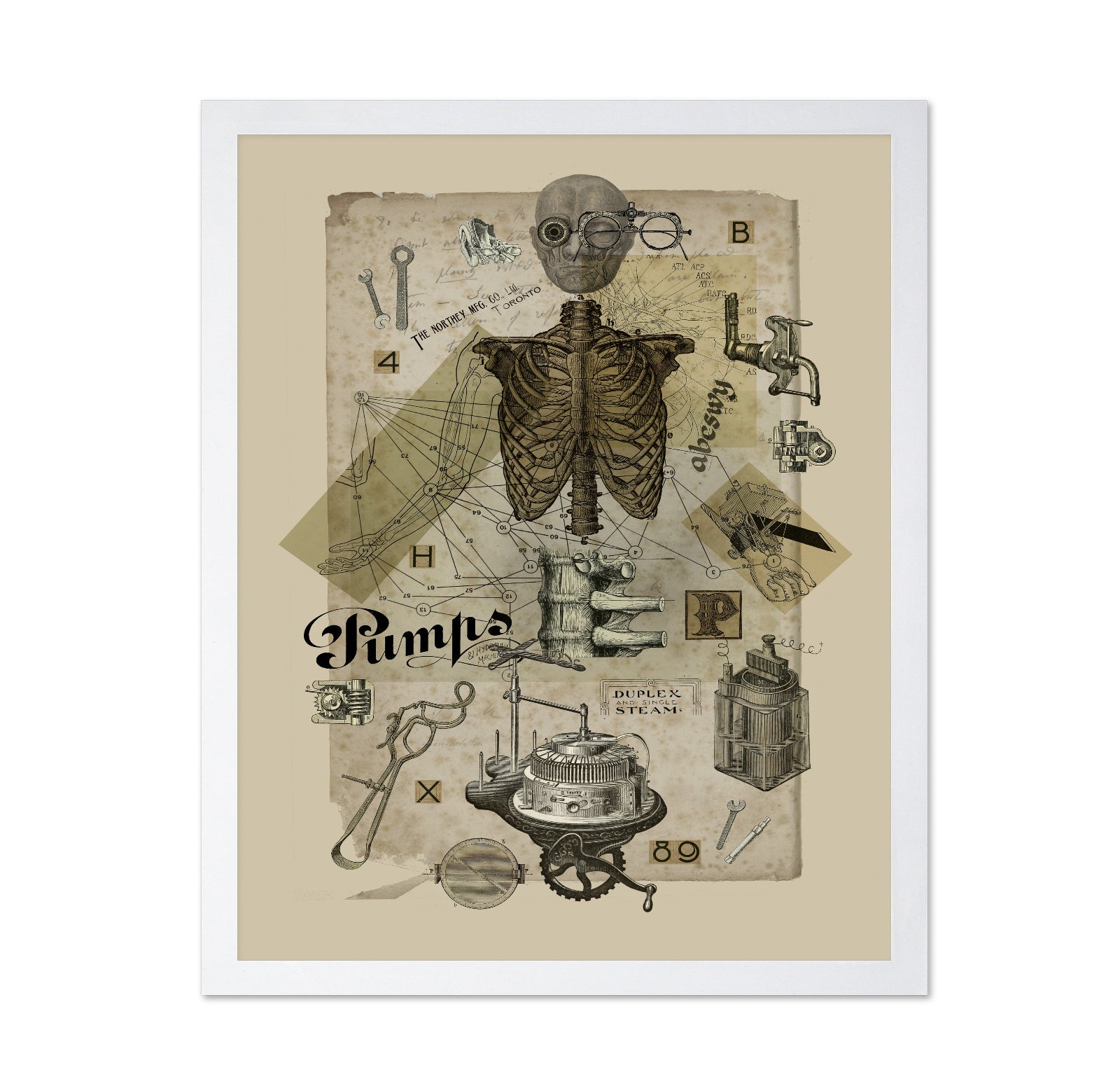 Mechanical Anatomy Study