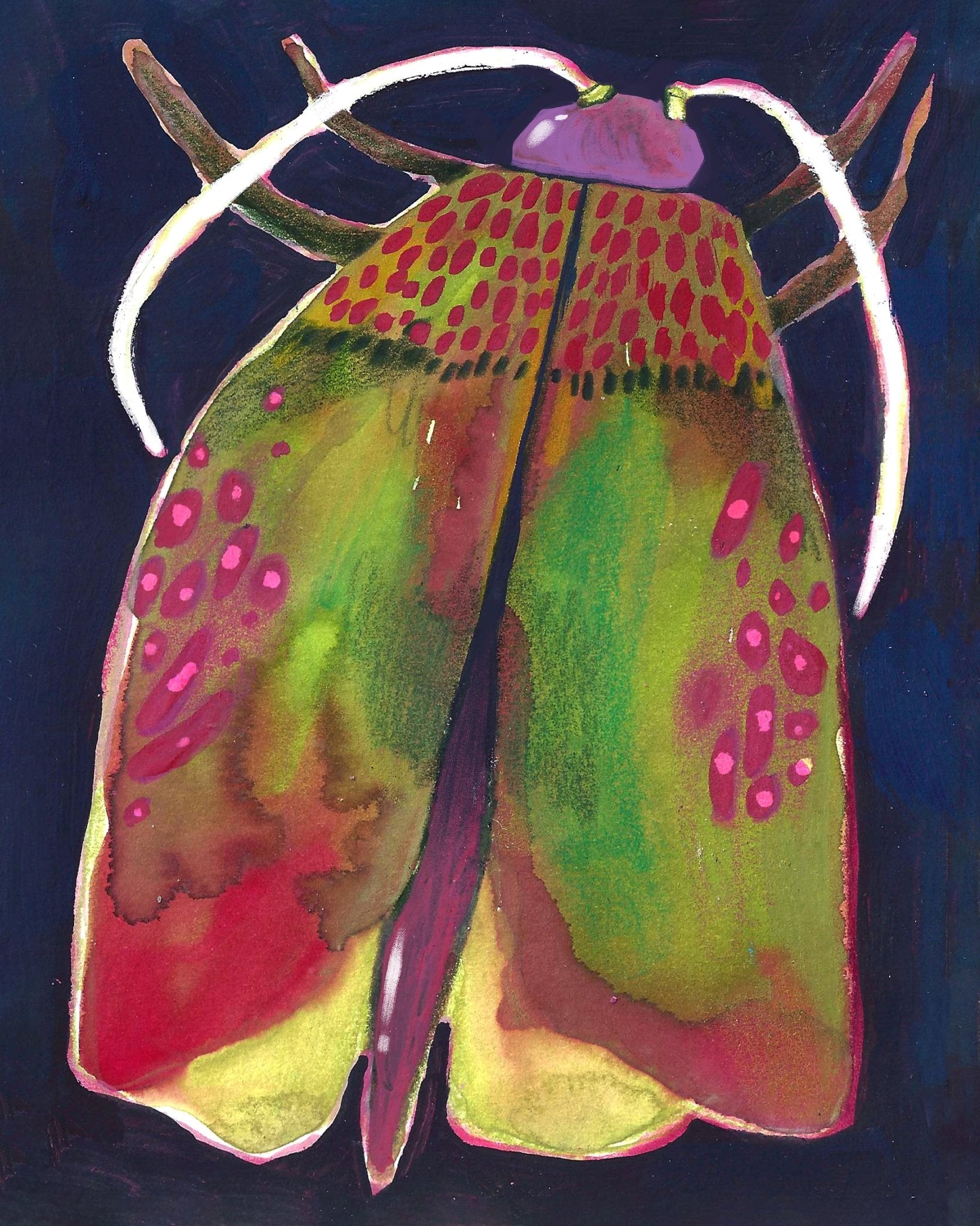 Colorful Moth
