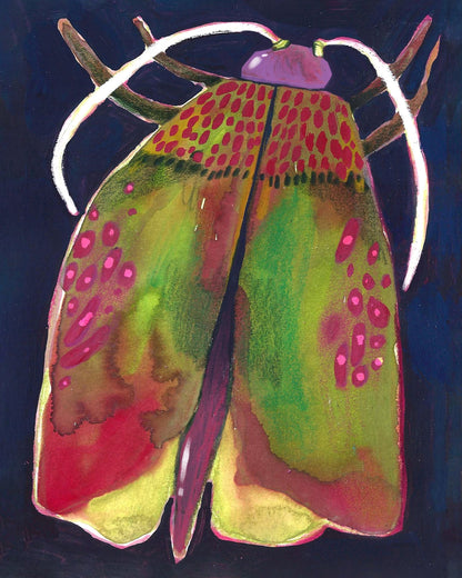 Colorful Moth