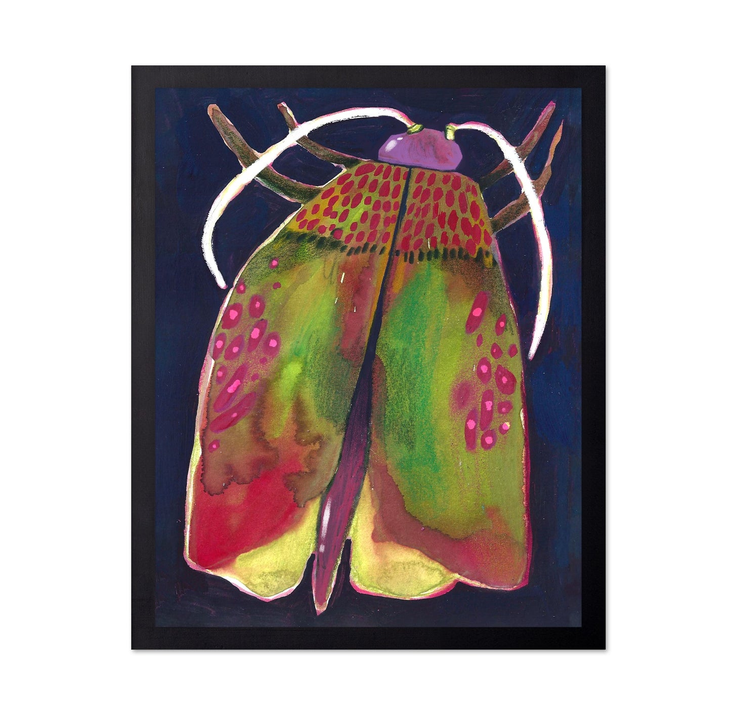 Colorful Moth