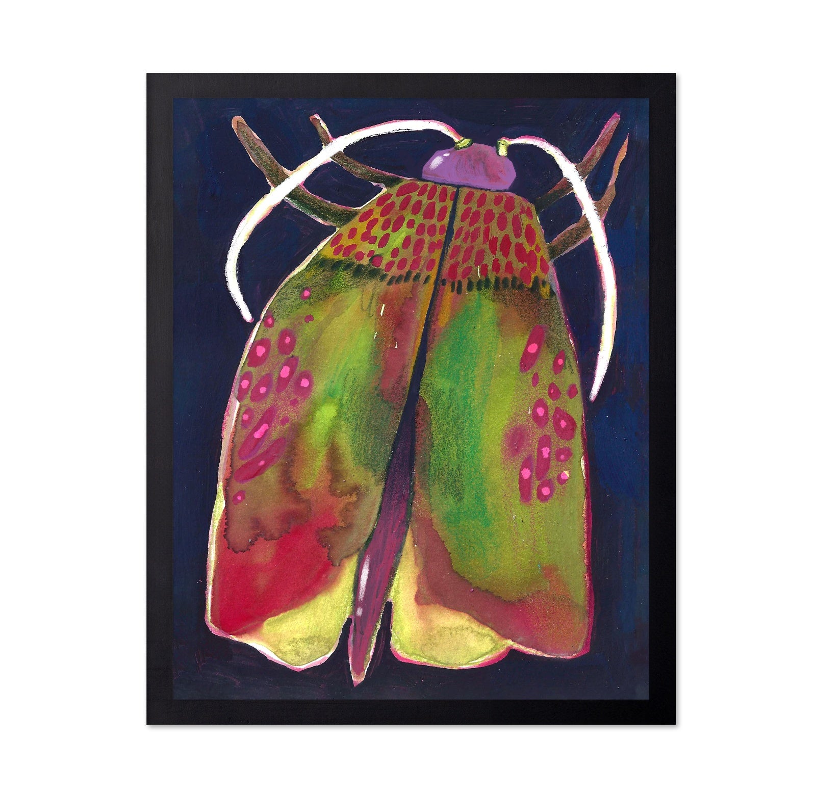 Colorful Moth